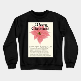 Pink Poinsetta Genus Christmas Card Crewneck Sweatshirt